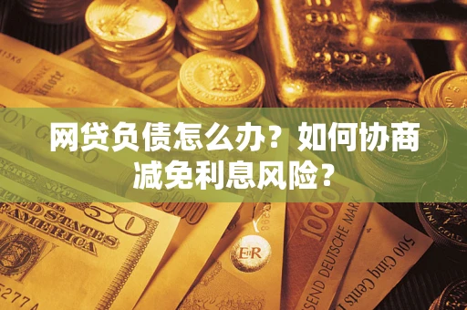 武汉网贷负债怎么办？如何协商减免利息风险？