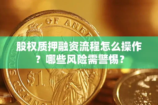 武汉股权质押融资流程怎么操作？哪些风险需警惕？