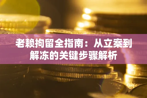 武汉老赖拘留全指南：从立案到解冻的关键步骤解析