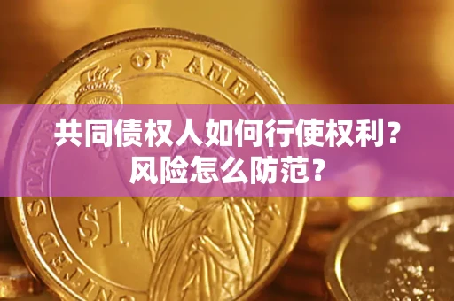 武汉共同债权人如何行使权利？风险怎么防范？