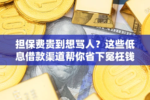 武汉担保费贵到想骂人？这些低息借款渠道帮你省下冤枉钱