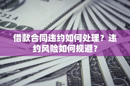 武汉借款合同违约如何处理？违约风险如何规避？