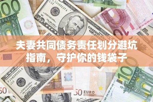 武汉夫妻共同债务责任划分避坑指南，守护你的钱袋子