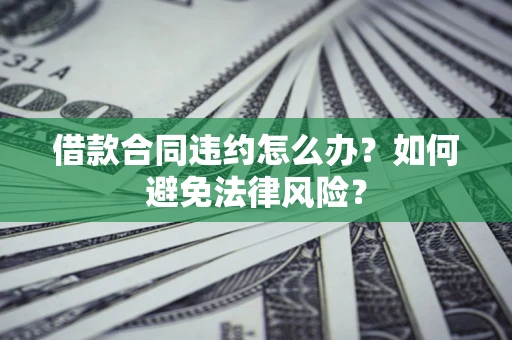 武汉借款合同违约怎么办？如何避免法律风险？