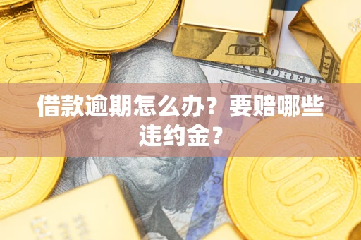 武汉借款逾期怎么办？要赔哪些违约金？